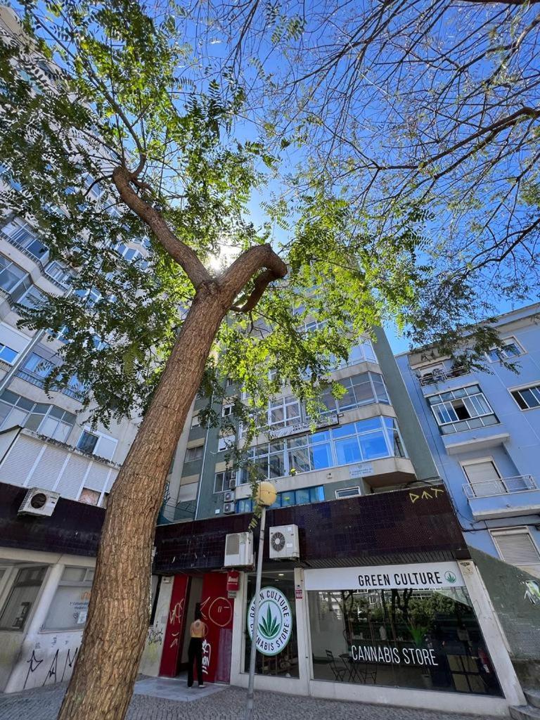 Cozy Apartment In Central Almada W Swing Chairs Dış mekan fotoğraf